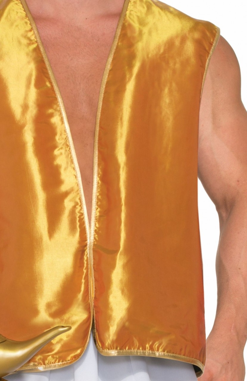 Genie Vest Mens Costume: one size